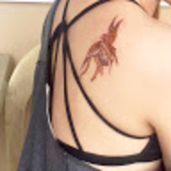 Meet your Posher, Xyla - Picture 1 of 1